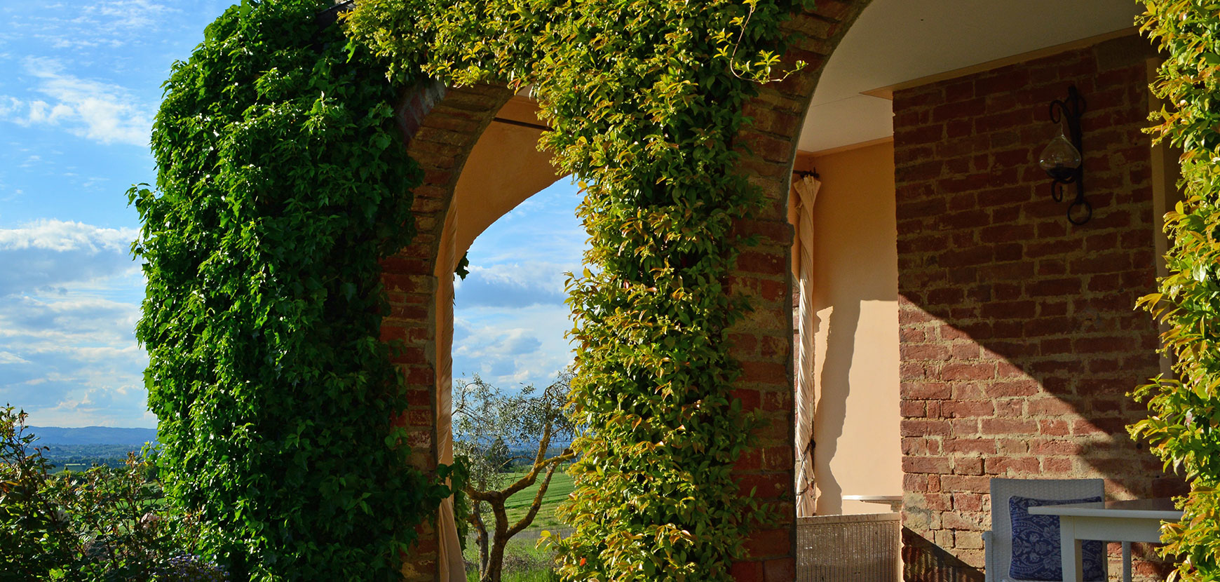 Plantes grimpantes pour balcons et terrasses