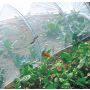 Biocontrol filet anti-insectes
