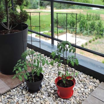 Arche de jardin Turin avec banc pour rosier et plante grimpante - D14241  - Jardin - Entretien
