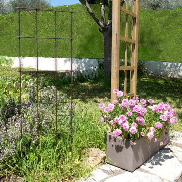 Arche de jardin Turin avec banc pour rosier et plante grimpante - D14241  - Jardin - Entretien