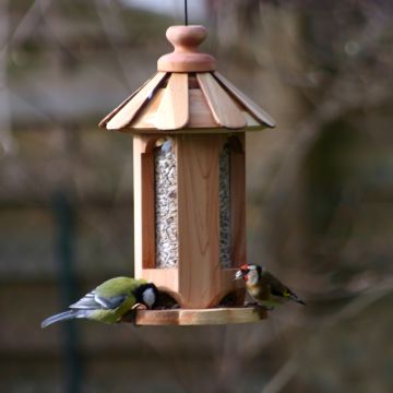 Mangeoire d'oiseaux sauvages – Jardinerie Fortier