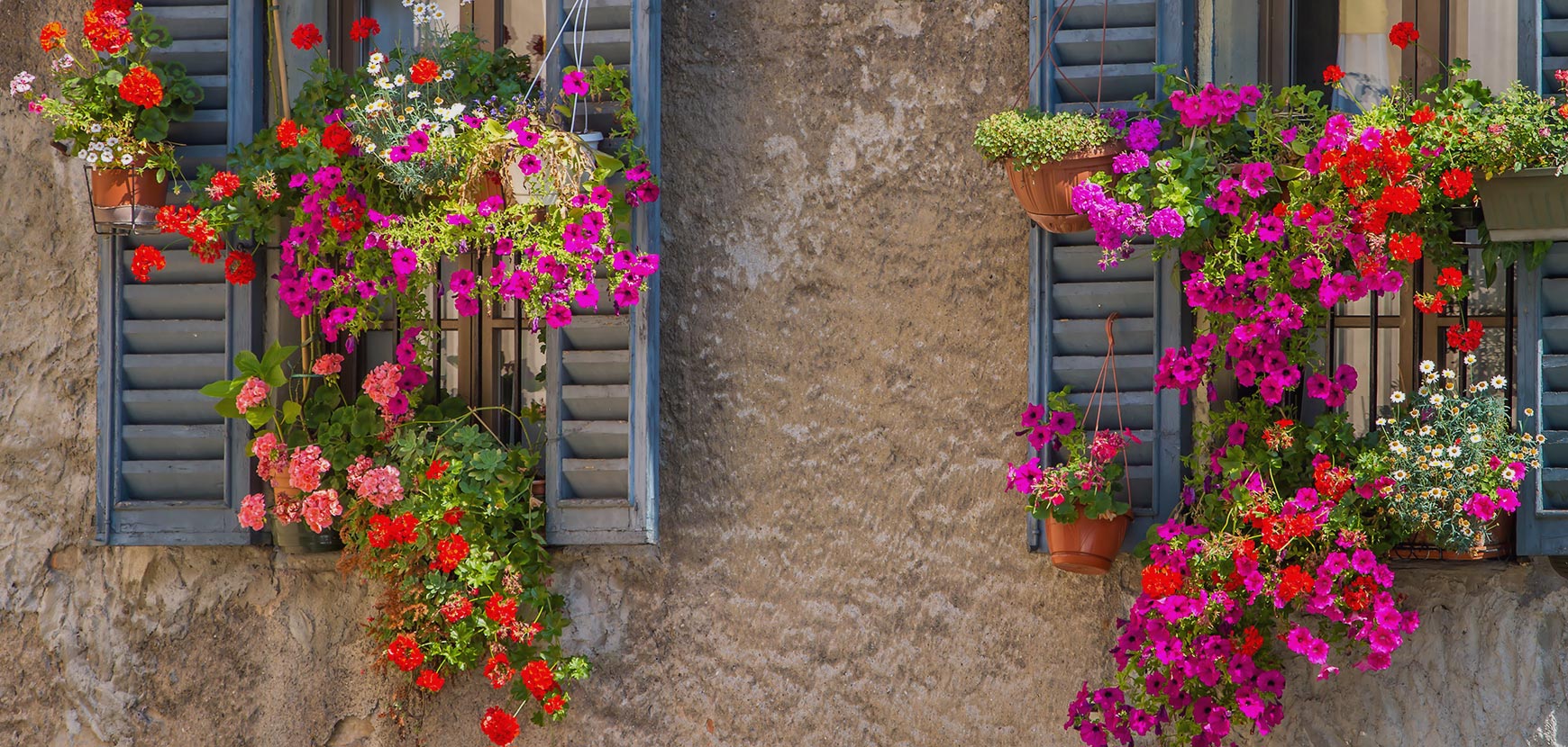 Transformez votre balcon en jardin suspendu !