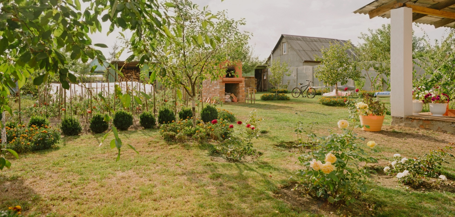 Un verger à la maison