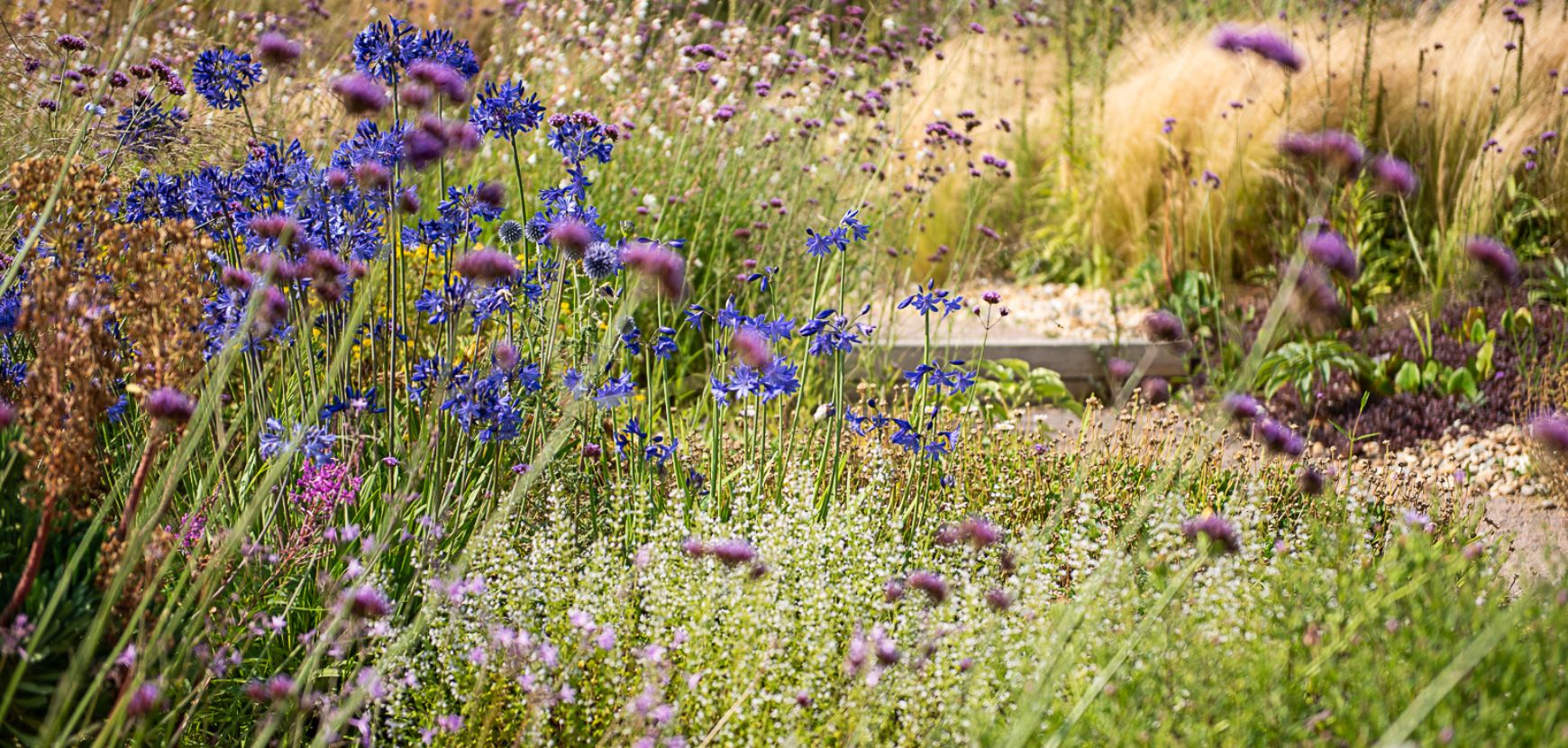 Les valeurs sûres du jardin