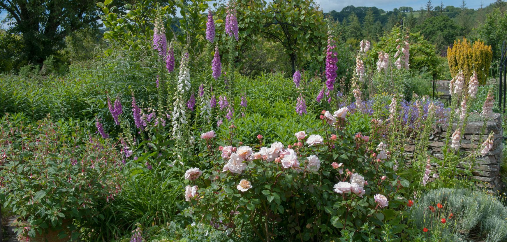 Facebook Live - Jardin des inspirations