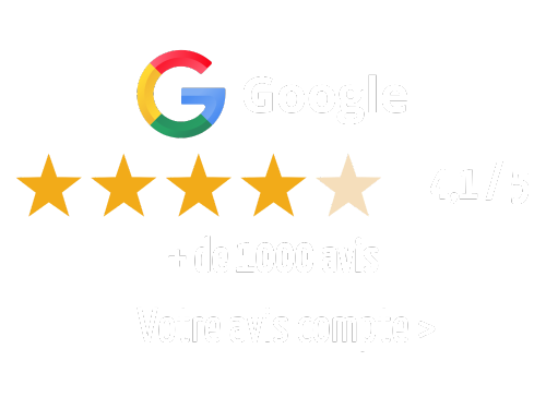 Avis Google