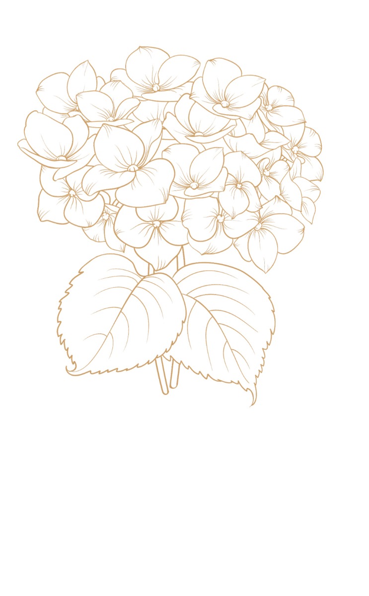 Hortensia