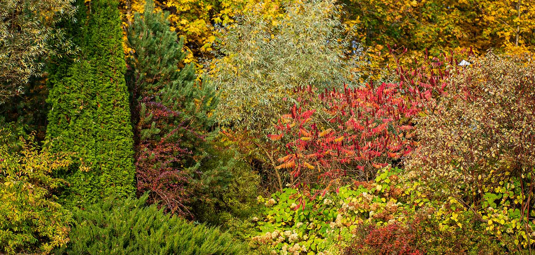 Un jardin aux couleurs d'automne