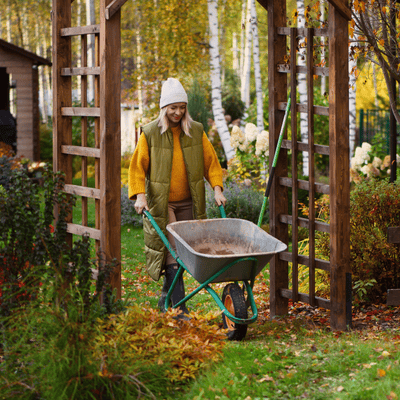 Conseil - Que faire au jardin en octobre ?