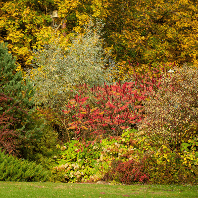 Inspiration - Un jardin aux couleurs d'automne