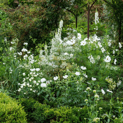 Inspiration - Un jardin monochrome mais pas monotone