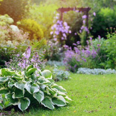 Inspiration - Jardin méditatif