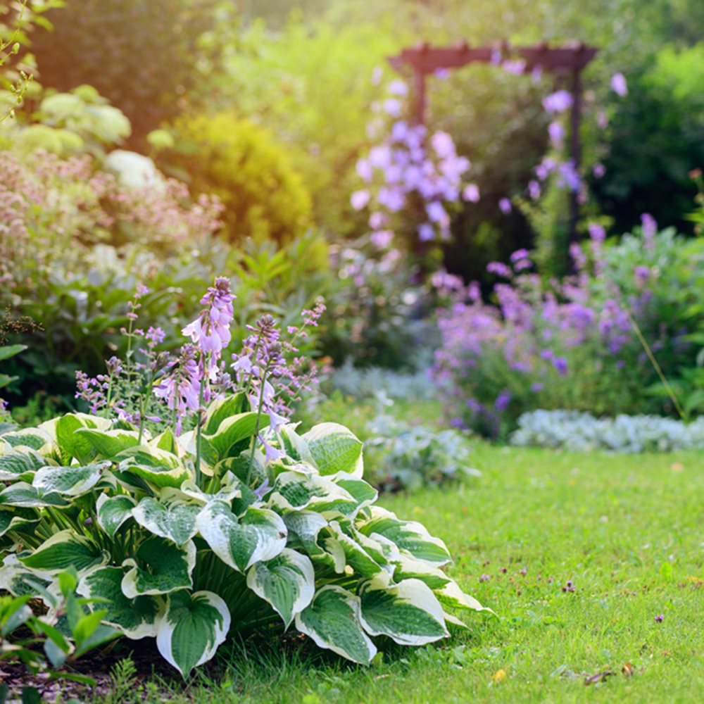 Un jardin méditatif 