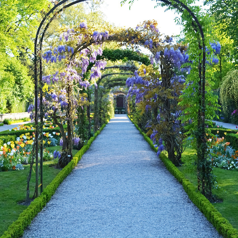 Sublimer et structurer votre jardin 