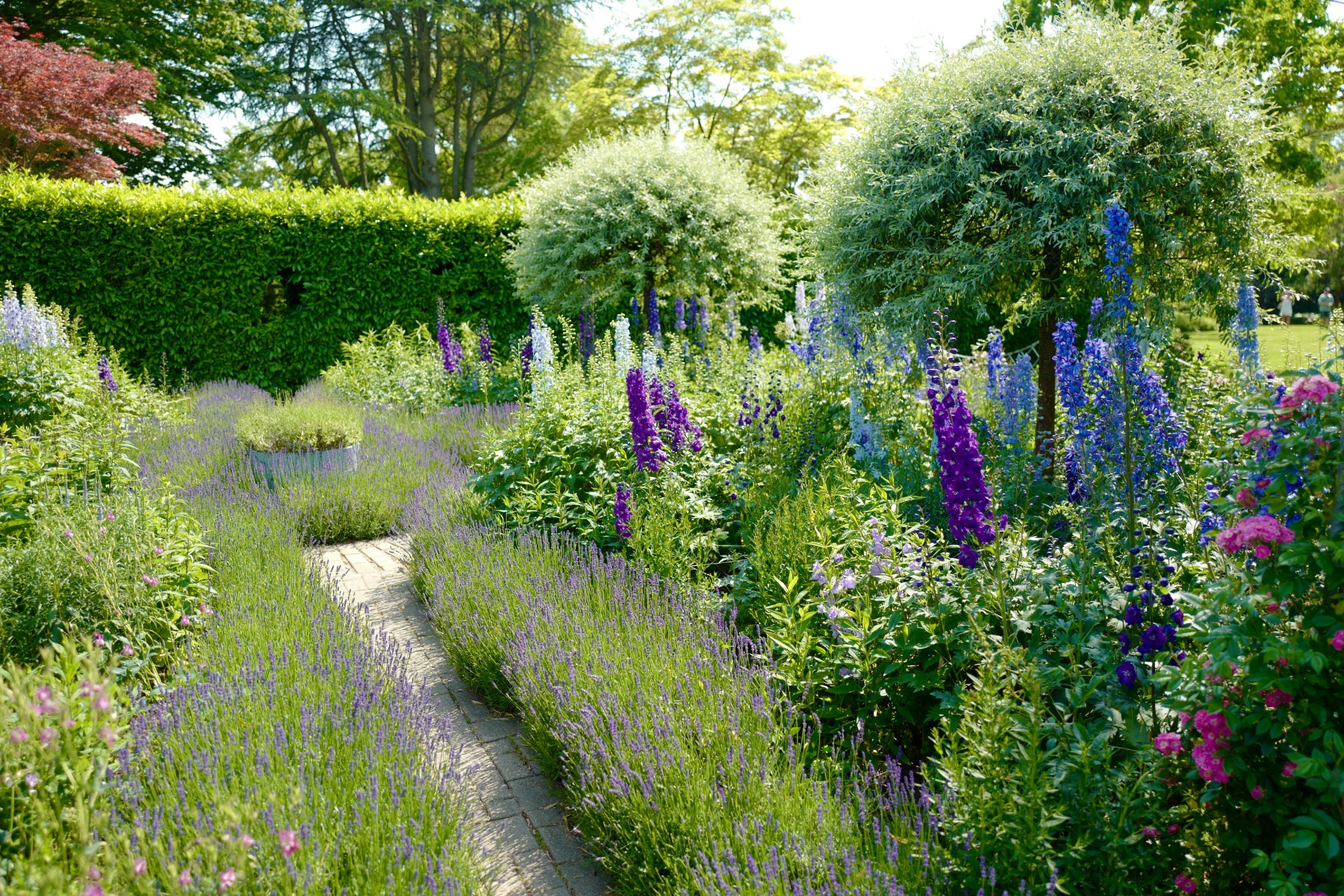 https://www.meillandrichardier.com/media/wysiwyg/conseils-inspi/pagechapeauconseilssaison/Ambiance-Delphiniums-Lavandes-All_e_shutterstock_2315405777.jpg