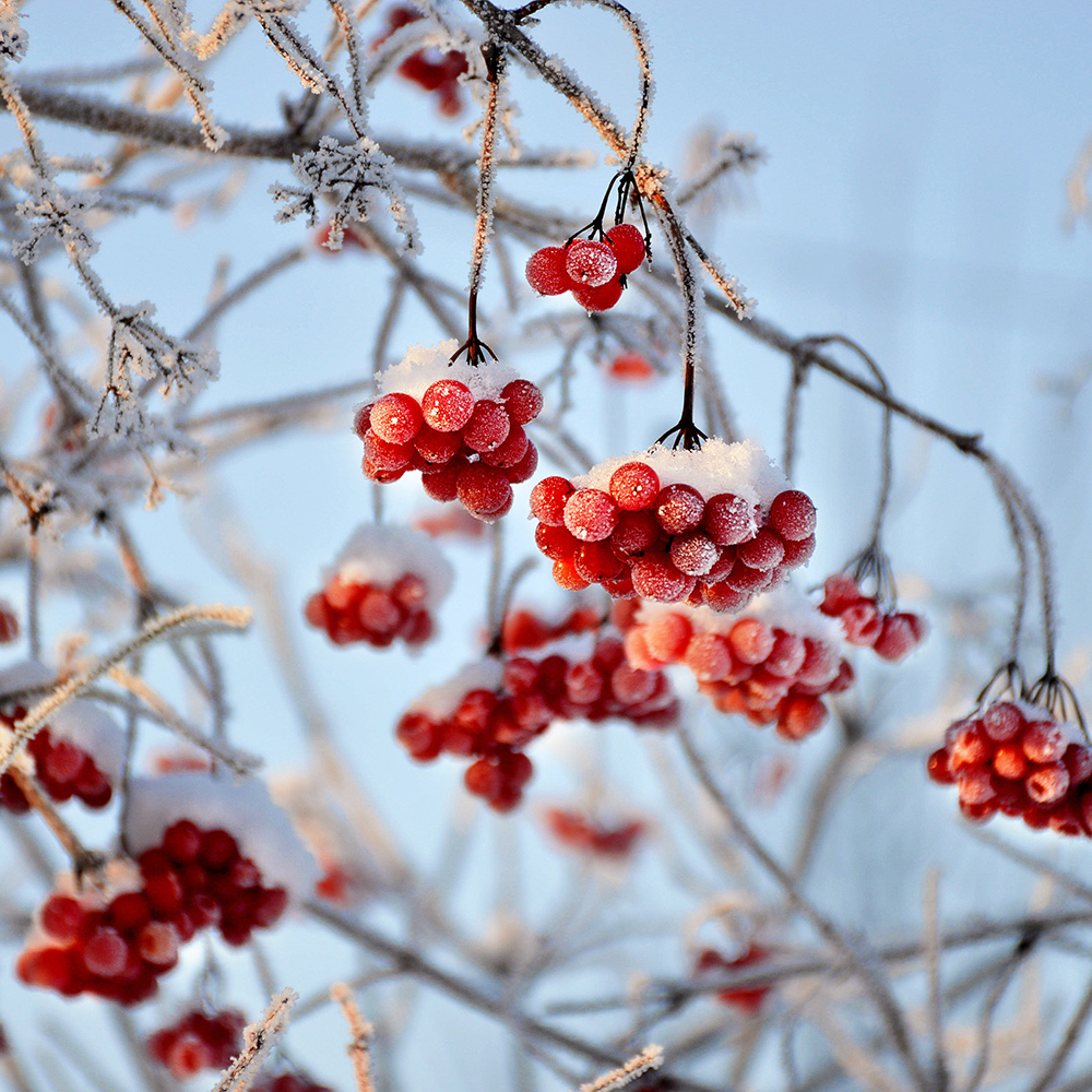 Hiver : tous nos conseils