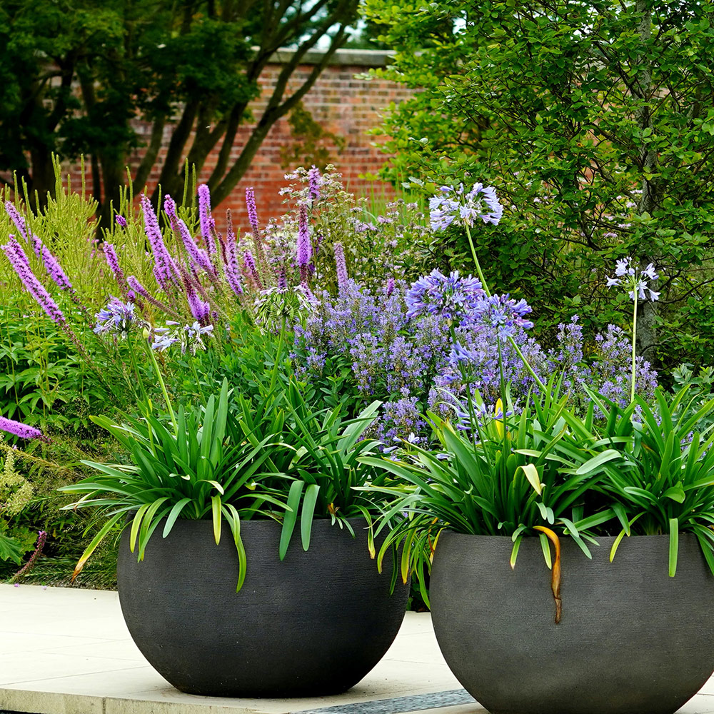 Une terrasse comme au jardin avec la culture en pots, c'est possible ? 