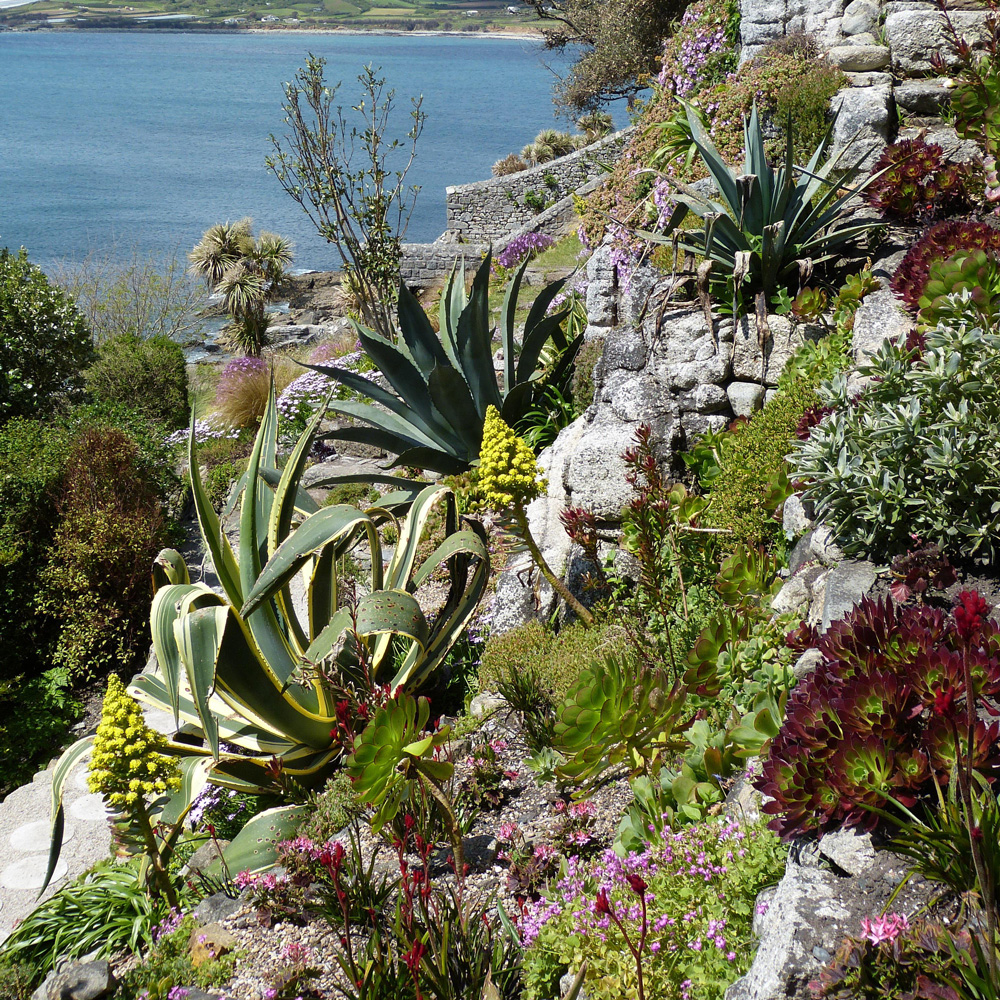 Espaces difficiles à fleurir