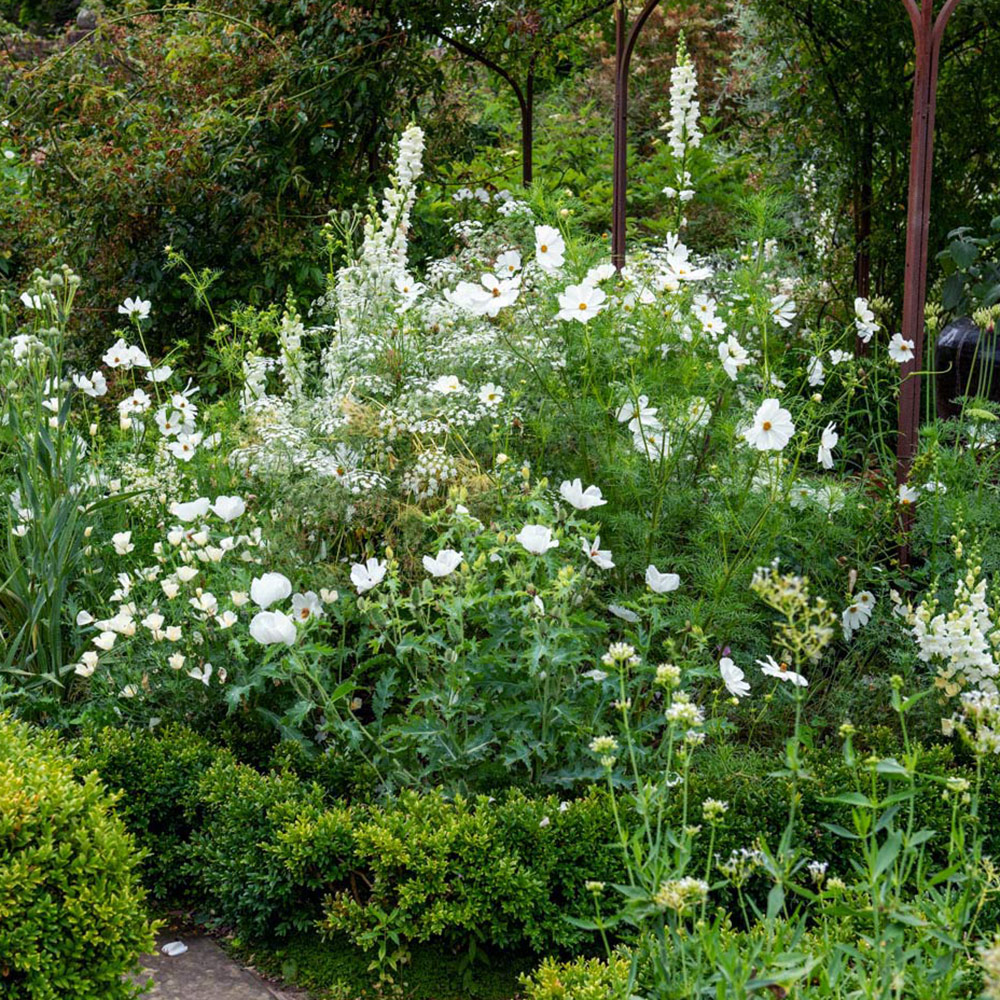 Nos jardins en couleurs