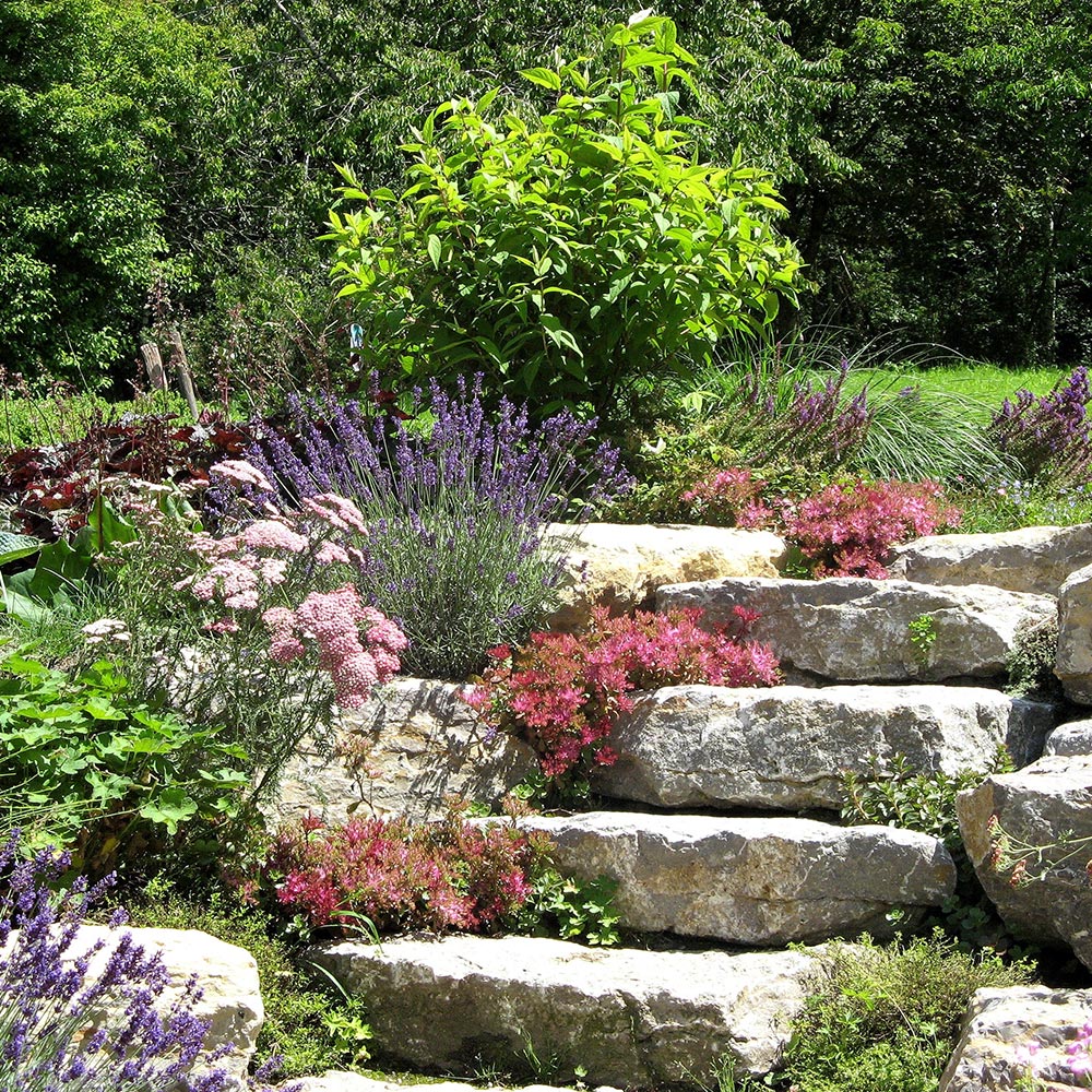 Je souhaite un jardin...