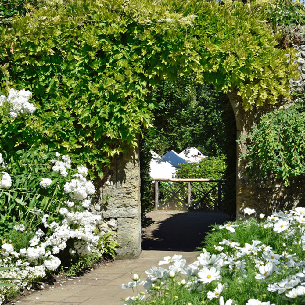 Un jardin blanc