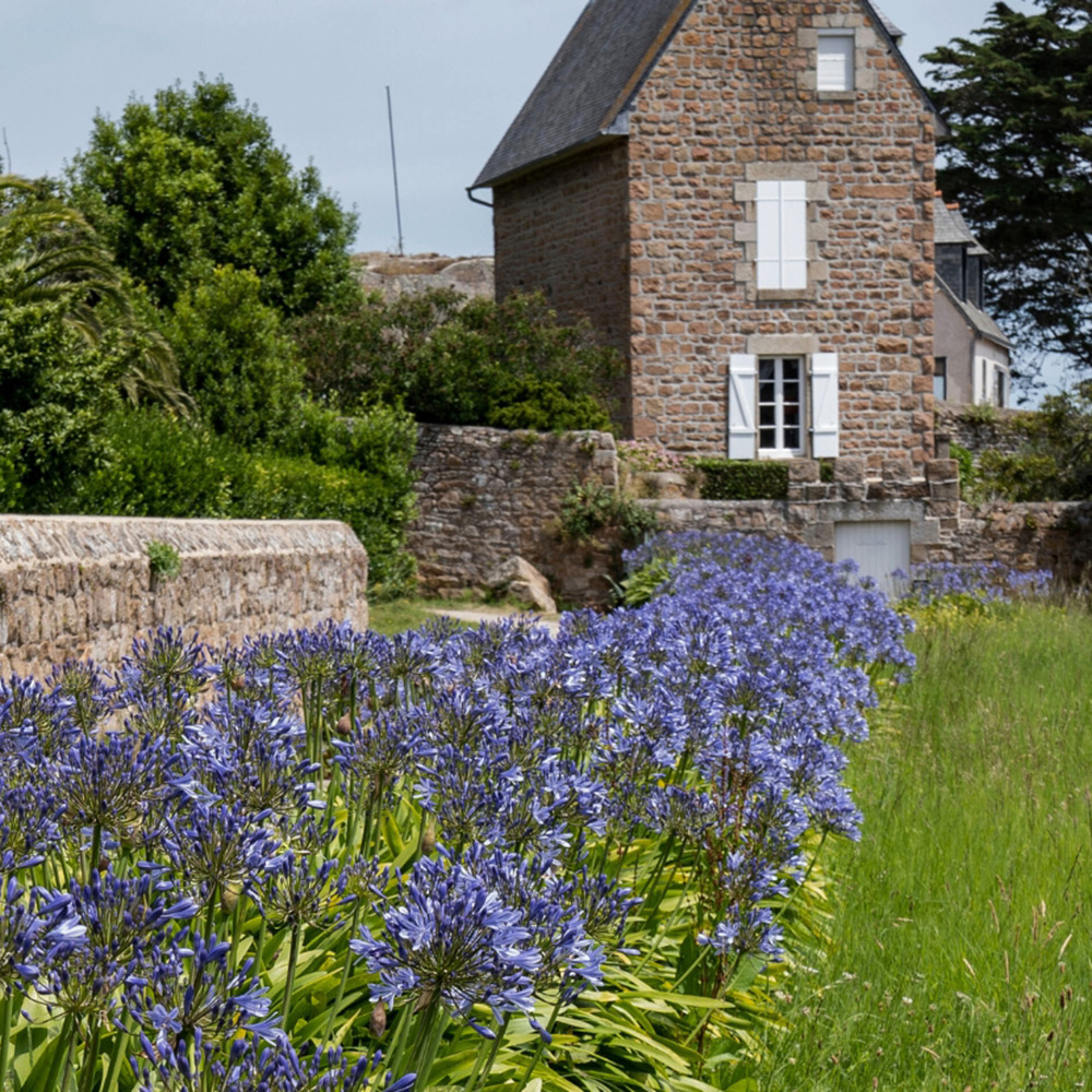 Un jardin breton