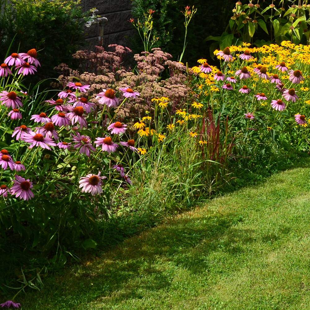 Un jardin de vacances fleuri tout l’été