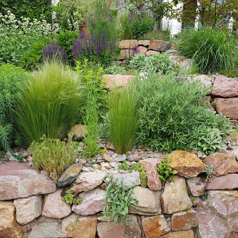 Un jardin résistant à la sécheresse (Xeriscaping)