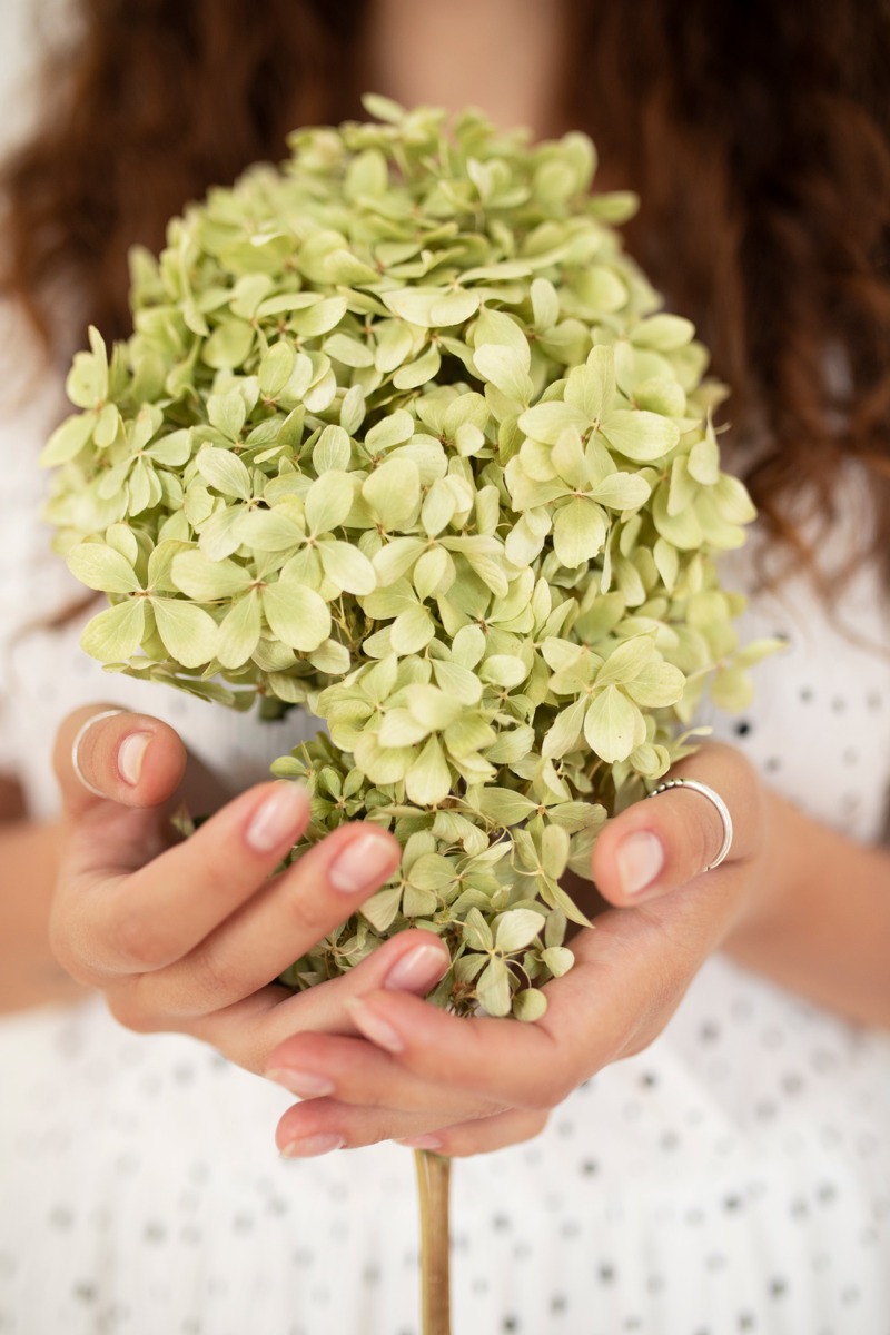 https://www.meillandrichardier.com/media/wysiwyg/front-view-woman-holding-dried-flowers_BD.jpg