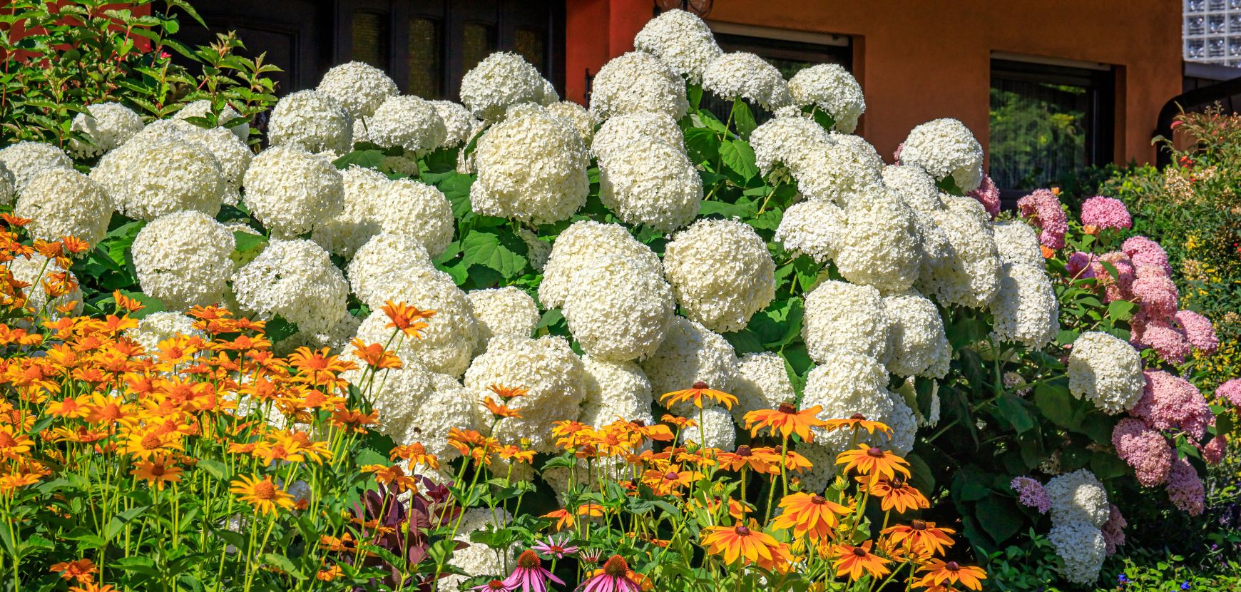 Jardins des contrastes