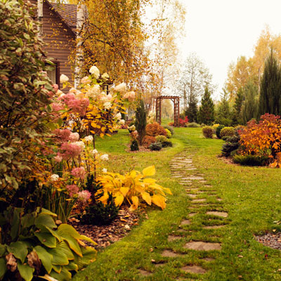 Conseil - Que faire au jardin en novembre ?